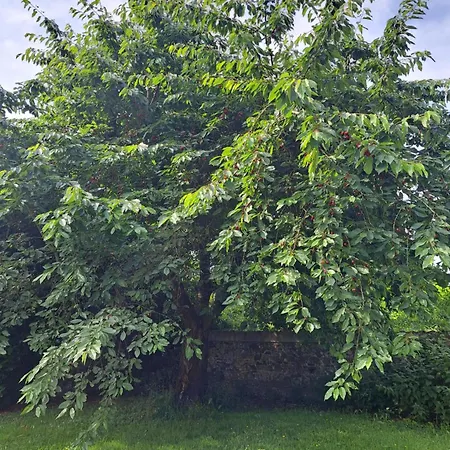 Pensión D'hotes A 5min De Pairi Daiza Et Proche Du Shape-otan