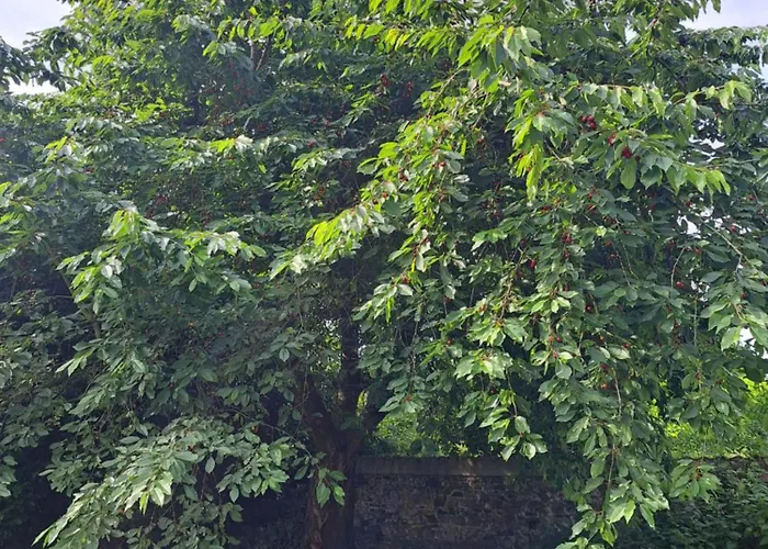 Maison d'hôtes D'hôtes à 5min De Pairi Daiza Et Proche Du Shape-otan